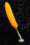 Feather with Orange Nibs